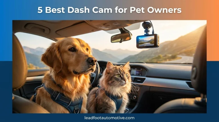 Best Dash Cam for Pet Owners