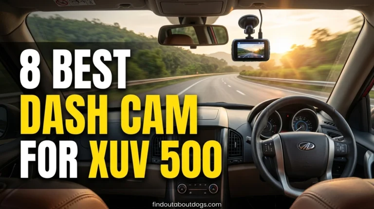 Best Dash Cam For XUV 500