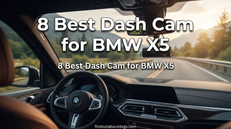 Best Dash Cam for BMW X5
