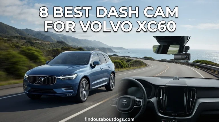 Best Dash Cam for Volvo XC60