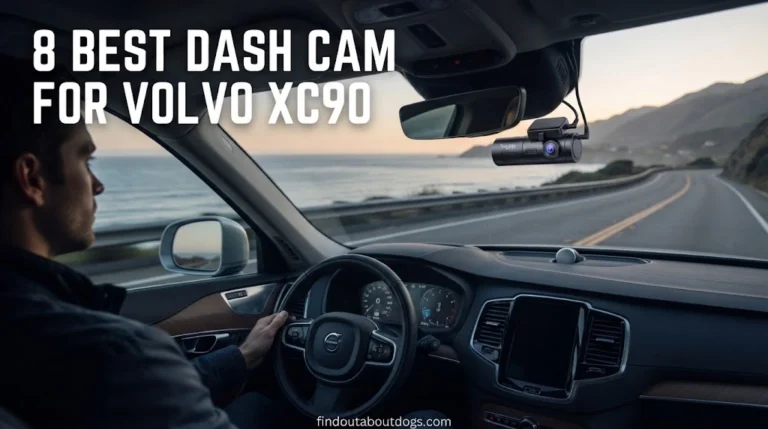 Best Dash Cam for Volvo XC90