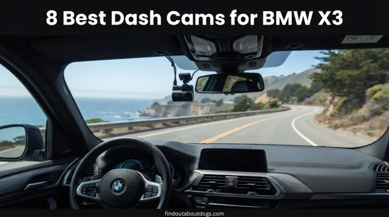 Best Dash Cams for BMW X3