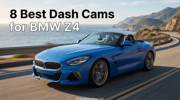 Best Dash Cams for BMW Z4